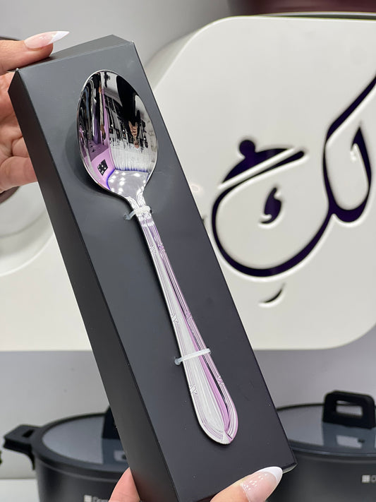 Classic Spoon set of 6 pcs