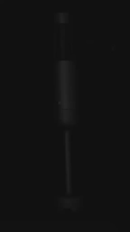Dorsch Digital Hand Blender HB-200